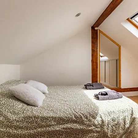 Daire Le Duplex Dijonnais