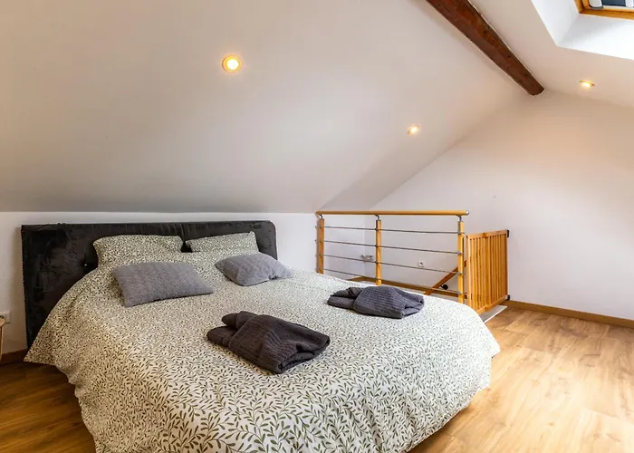 Le Duplex Dijonnais Apartment Dijon